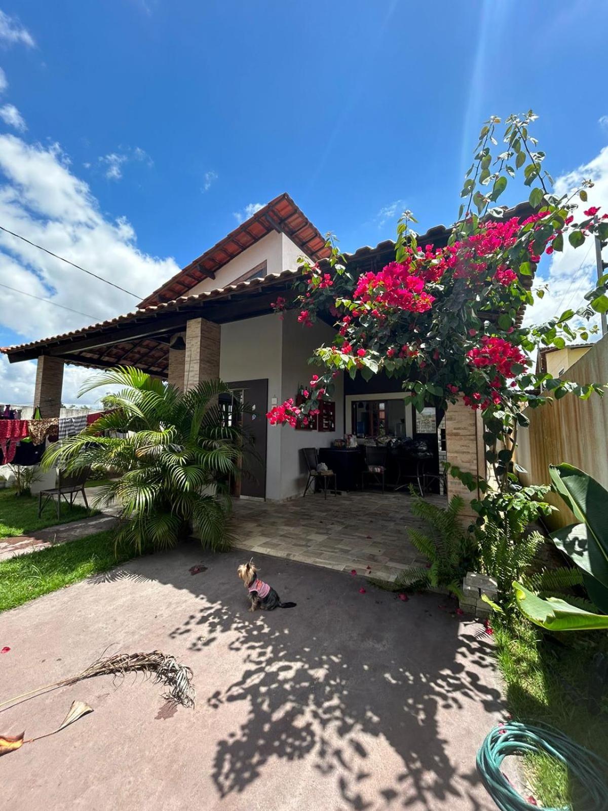 Villa Chale Bananeiras A 800M Da Arena Bananeiras Esterno foto